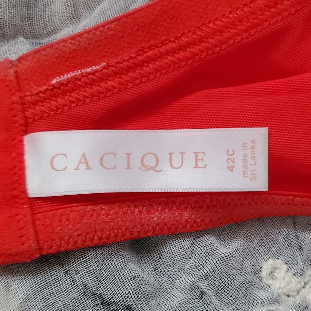 ** SOLD ** Cacique Bra 42C & Panty 18/20 Set - Picture 4 of 7